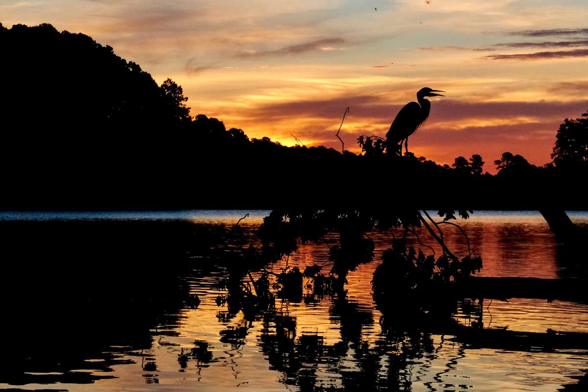 Lake Johnson at sunset